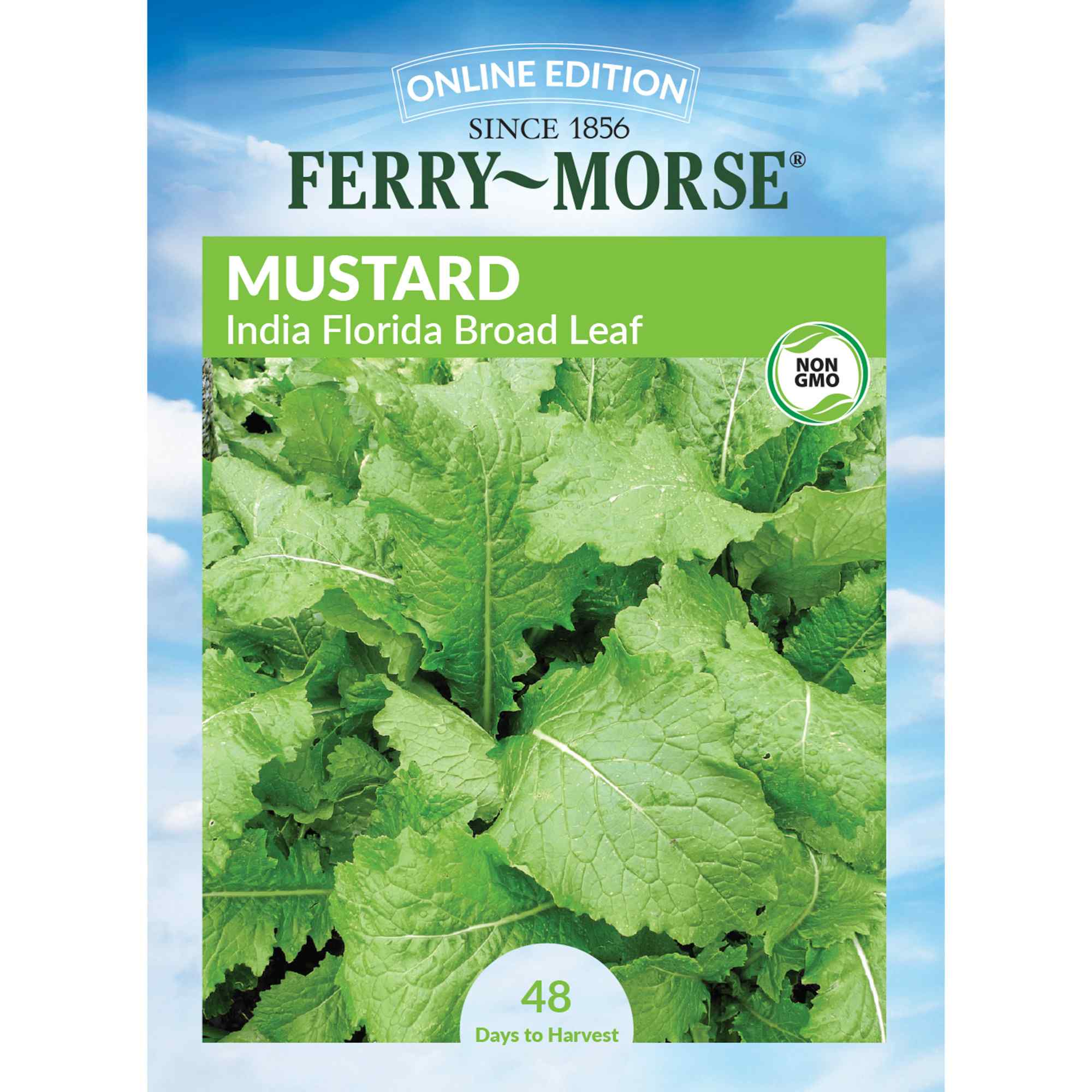 Ferry-Morse mustard India Florida broad leaf seed packet